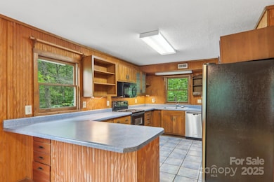 685 Freeman Creek Rd, Zirconia, NC 28790 - photo 7