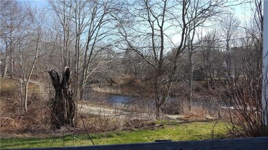 View of the river from the house.