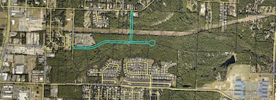 68+Acres Patriot Ln, Crestview, FL 32539 - photo 2