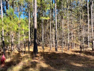 0 Mariners Way unit Lot 41, Lincolnton, GA 30817 - photo 3