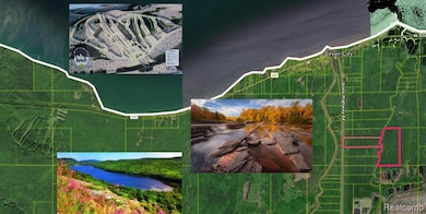 32954 Kingbird Ln, Carp Lake Township, MI 49953 - photo 5