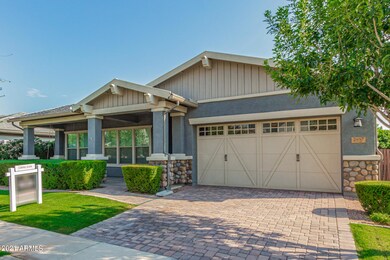 5 - Sagebrush