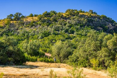 527 Walter Rd, Fredericksburg, TX 78624 - photo 5