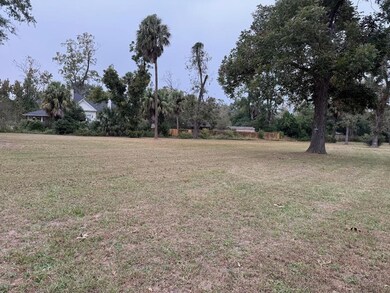 0 W Hill Ave, Valdosta, GA 31601 - photo 6