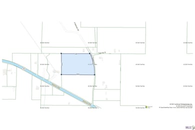 TBD Tyler Ballard Rd, Walker, LA 70785 - photo 6