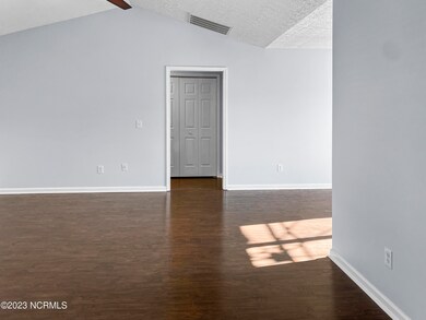 213_Red_Carnation00005_single