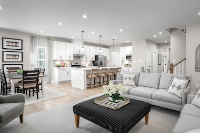 green fam kitchen