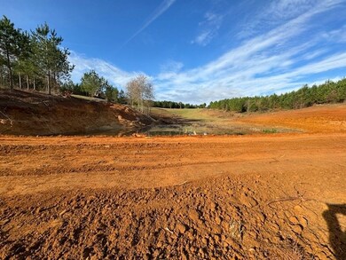 0 County Road 39, Ramer, AL 36069 - photo 5