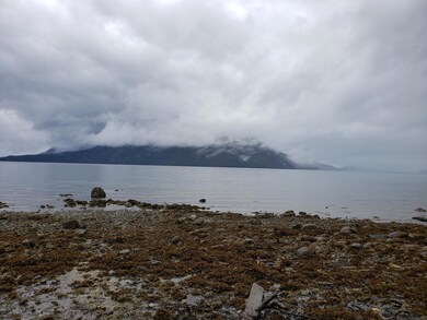L14 Shoemaker Loop Rd, Wrangell, AK 99929 - photo 7