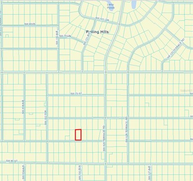 TBA SW 78 Place, Dunnellon, FL 34432 - photo 5