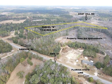 13 Acres Goat Hill Rd, Samson, AL 36477 - photo 4