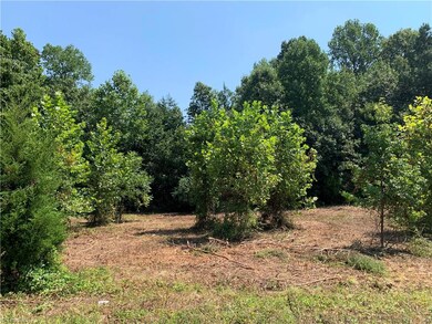 00 Old Mill Ford Trail, Asheboro, NC 27205 - photo 3