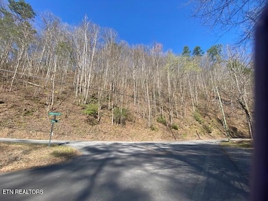 0 N Clear Fork Rd, Sevierville, TN 37862 - photo 7