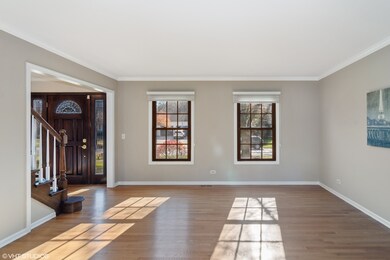 919 Rockbridge Dr, Naperville, IL 60540 - photo 3