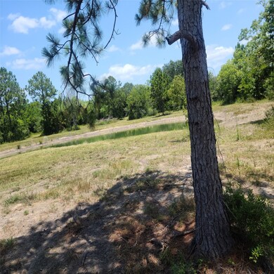 0 Whigham Way unit 98704315, Alvin, TX 77511 - photo 5