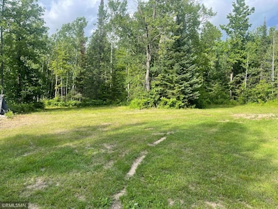 31069 Duluth Missabe and Iron, Greenway Township, MN 55775 - photo 7