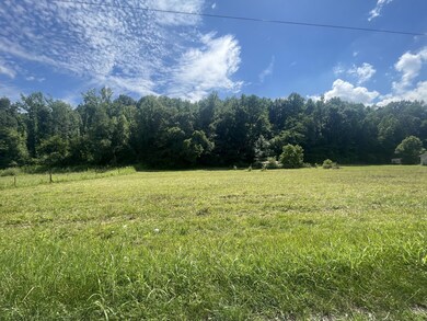 92 Field Dr, Linden, TN 37096 - photo 7