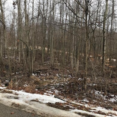 0 Kingsway Cir unit 175 & 176 218002276, Howard Township, OH 43028 - photo 4