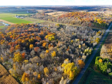 Lot 4 320th St, Forest Township, WI 54005 - photo 4