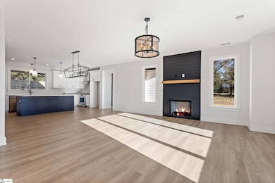 3400 Pennington Rd, Greer, SC 29651 - photo 5