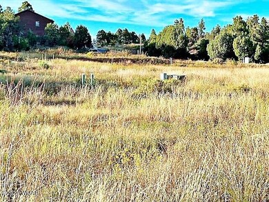 Large Open Area