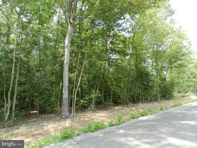 0 Placid Point Rd unit 1000025897, Colonial Beach, VA 22443 - photo 2
