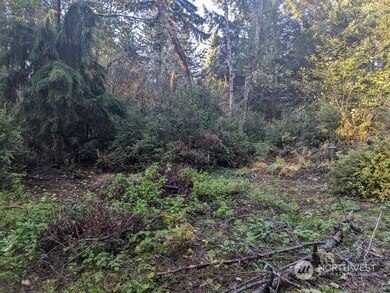 10614 Suncrest Dr, Anderson Island, WA 98303 - photo 2