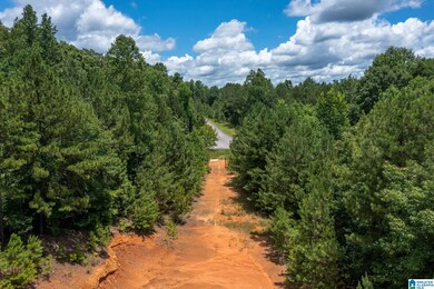 0 Deer Ridge Dr unit 1359785, Chelsea, AL 35043 - photo 3