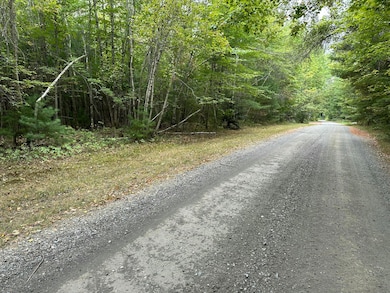 M40 L13-7 Mallard Rd, Madison, ME 04950 - photo 3