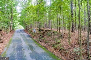 0 Old Grogan Rd NW unit 10546011, Acworth, GA 30101 - photo 3