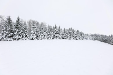 18 AC Solem Lake Rd SW, Kensington, MN 56343 - photo 2