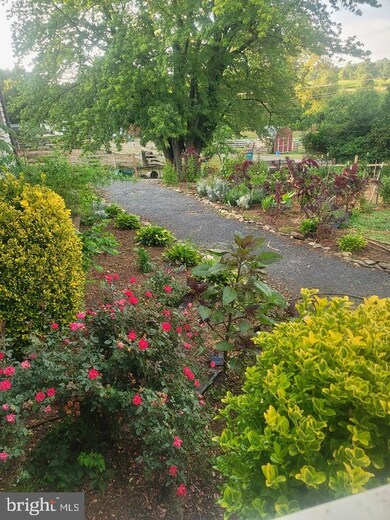 4143 Weston Dr, Knoxville, MD 21758 - photo 7