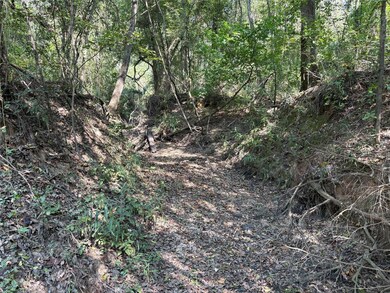 0 Fm 69 unit 24739380, Como, TX 75431 - photo 6