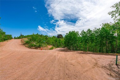 27 Granite Ct unit L1 CCME 6, Cripple Creek, CO 80813 - photo 4