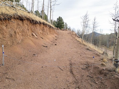 View of first stretch of private road up side of mountain