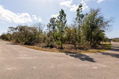 View from the street