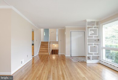 13010 Estelle Rd, Silver Spring, MD 20906 - photo 6