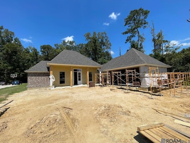 22769 Plank Rd, Zachary, LA 70791 - photo 7