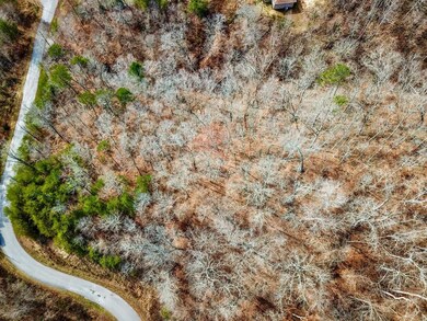 0 Wildcat Hollow Rd unit 25658914, New Tazewell, TN 37825 - photo 4