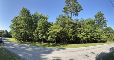 0 Bluff View Dr unit RTC2973731, Dunlap, TN 37327 - photo 6