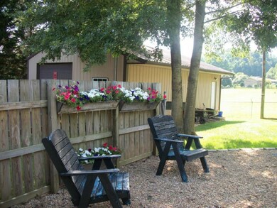 Area Around The Pool
