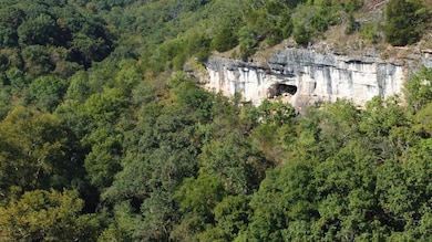 22798 River View Dr, Richland, MO 65556 - photo 5