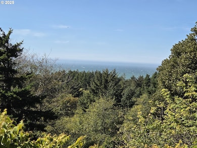 0 Hillside Acres Rd unit 124 148353947, Gold Beach, OR 97444 - photo 4