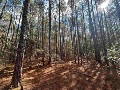 26 Acres-TBD Puncheon Creek Dr, Andrews, SC 29510 - photo 2