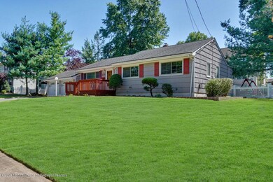 004_cmp00531-cmp00535_1b