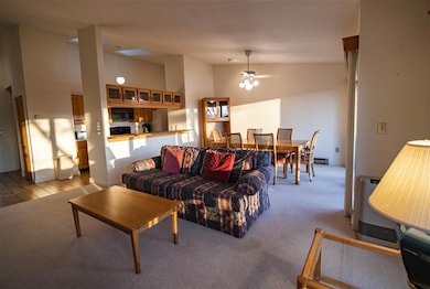 463 Alden Partridge Rd unit 4B, Hartford, VT 05001 - photo 5