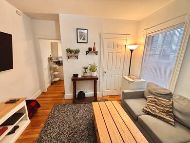 250 Brookline St unit 1, Cambridge, MA 02139 - photo 2