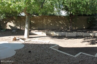 023-352155 - Backyard 4