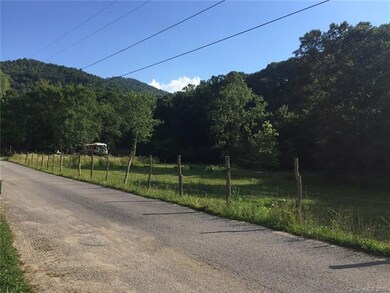 69 Smith Rd, Leicester, NC 28748 - photo 5