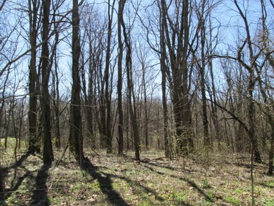 Wooded Lot